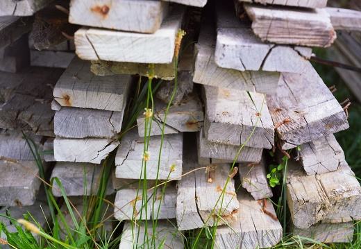 Old Wood Pile